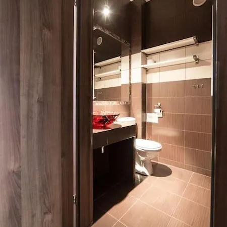 Komfortowy Z Klimatyzacja Appartement *