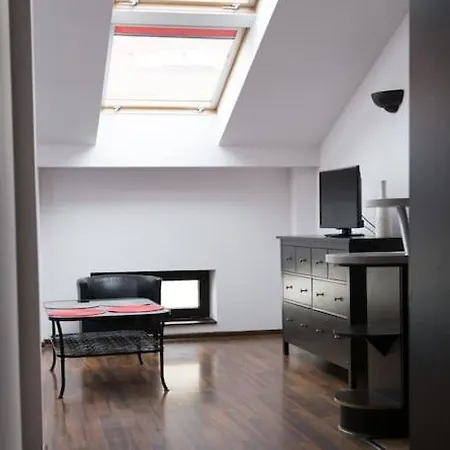 Komfortowy Z Klimatyzacja Appartement Krakau